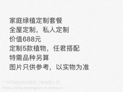 綠色相伴，生機常在——廣州植物租賃與空間定制服務精選